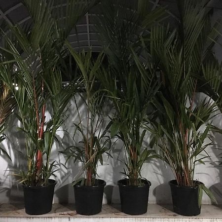 טריואנדרום Rams Guest House Near Lulu Mall מראה חיצוני תמונה